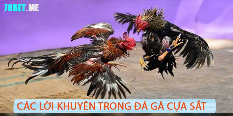 Đá Gà Cựa Sắt